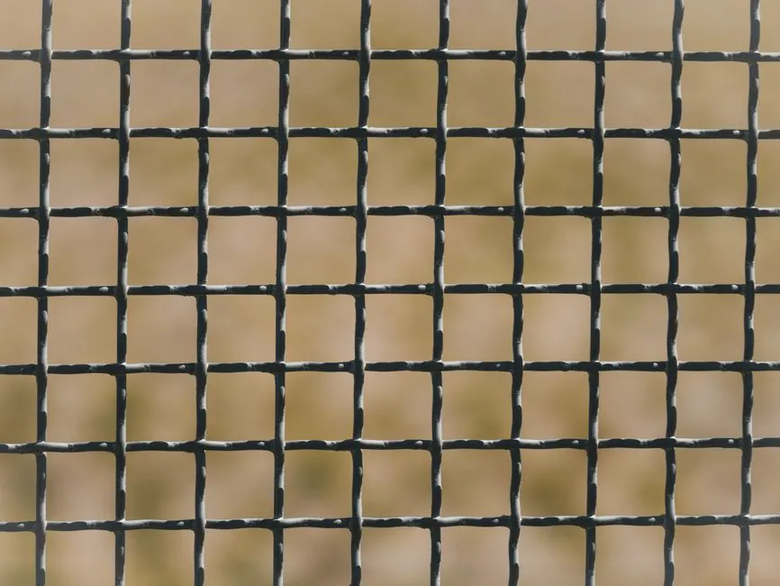 Close-up of a fine wire mesh grid used to exclude birds from a roof space