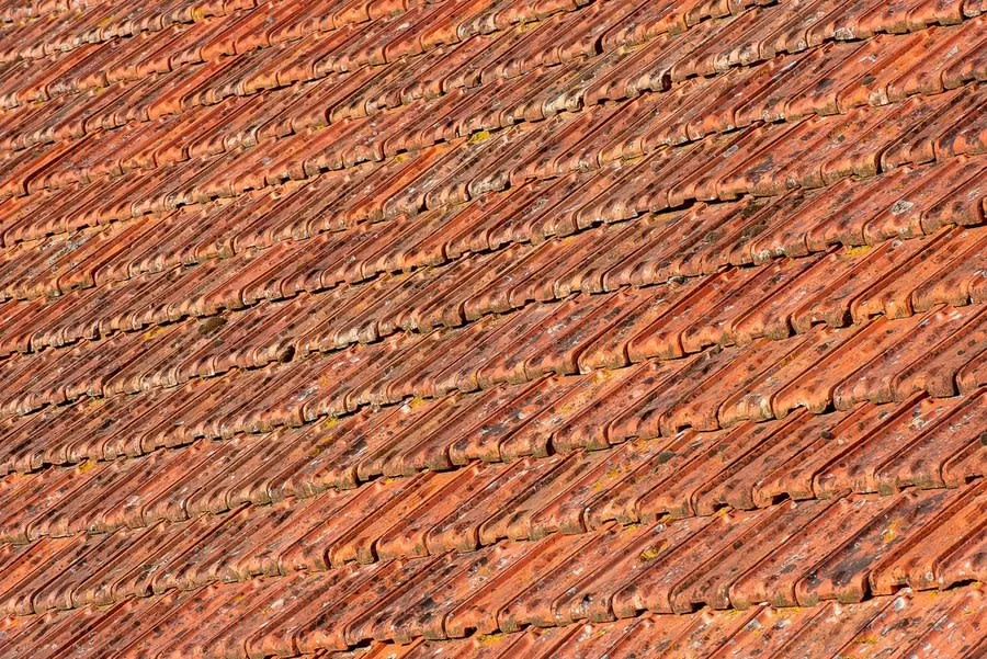 A terracotta clay tile roof in warm afternoon light