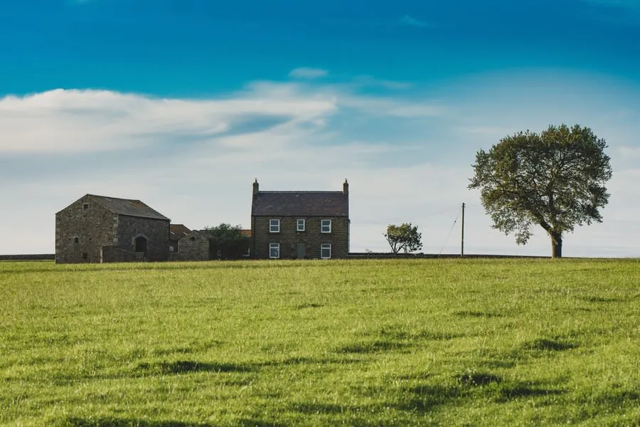 Rural farmhouse and barn beside a lone tree in a wide green field under a blue sky