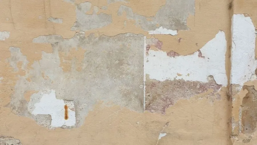 Damp staining and peeling paint on an interior wall caused by a roof leak