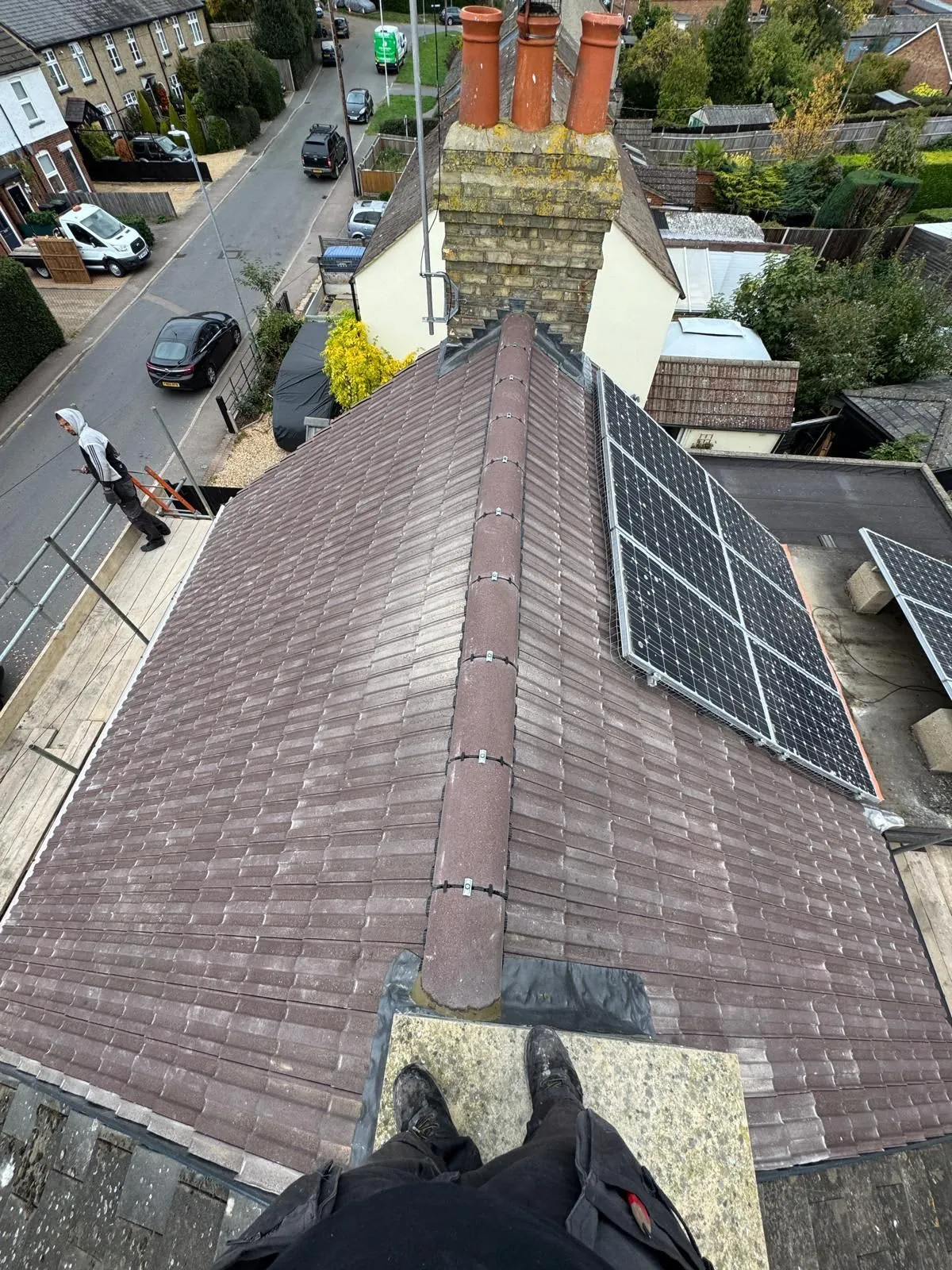 Moss growing on a Harrogate roof