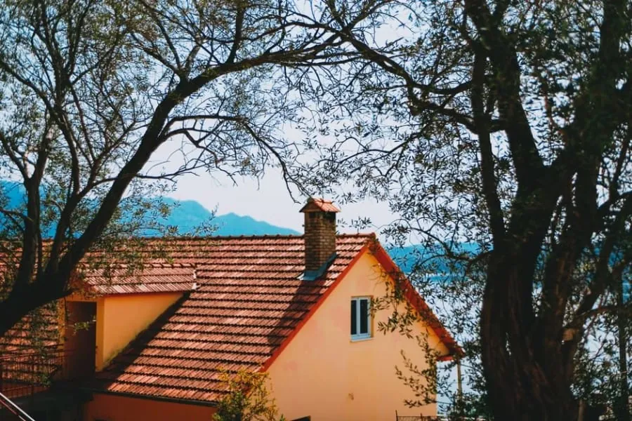 Overhanging tree branches close to a house roof