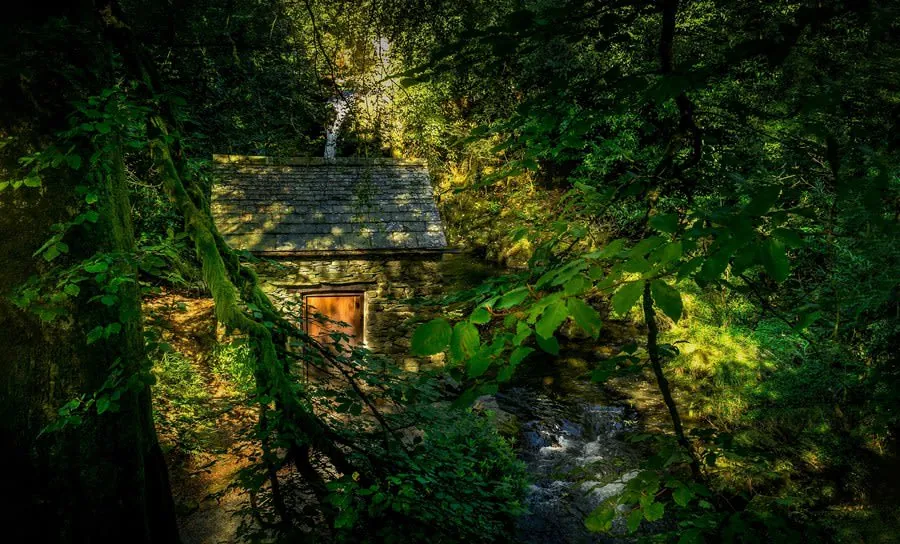 A small stone cottage with a lit window, hidden in dense green forest