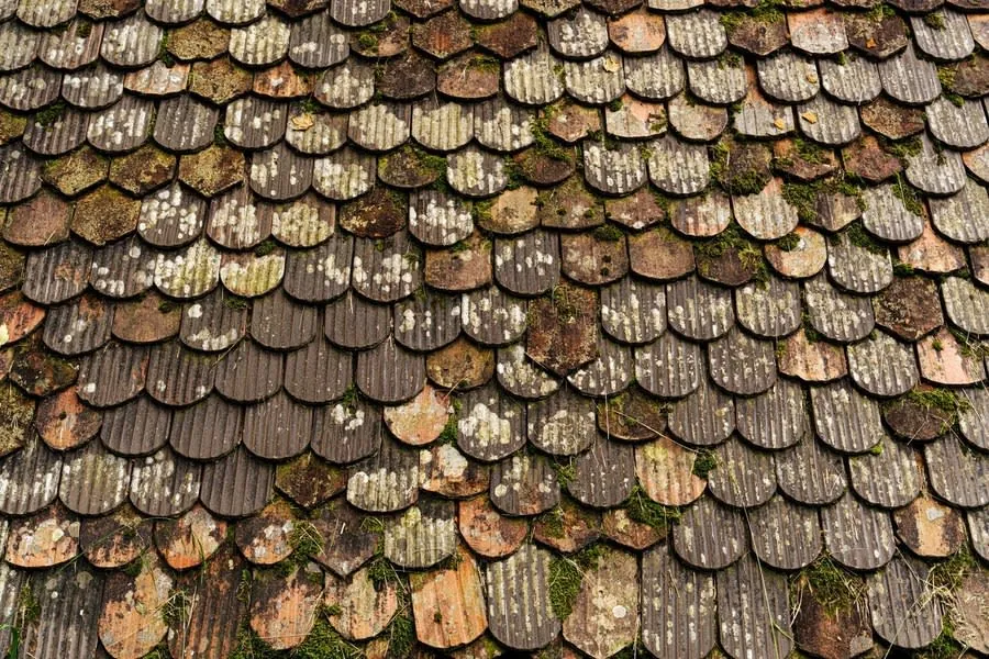 A weathered natural slate roof seen close up