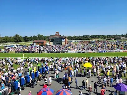 Ripon Races